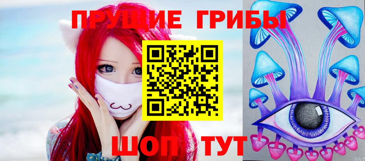 Галлюциногенные грибы MAGIC MUSHROOMS  Вход с VPN  Тихвин  где купить наркоту  Псилоцибиновые грибы ЛСД 
